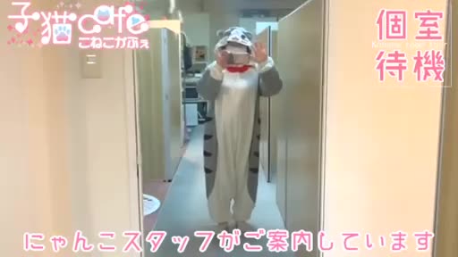 桃色☆めぃぷるシロップ  待機室動画